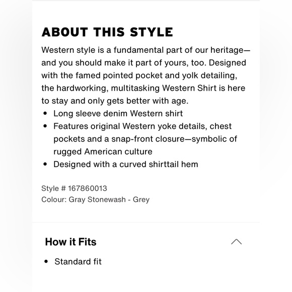 ESSENTIAL WESTERN SHIRT - Picture 5 of 11